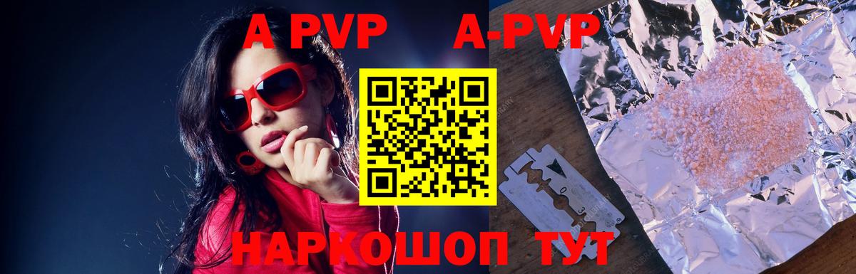 Альфа ПВП СК Новодвинск