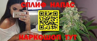 тгк Кудрово