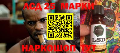 тгк Кудрово