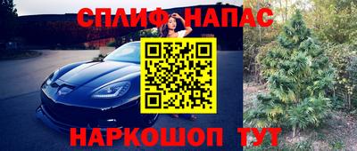 тгк Кудрово